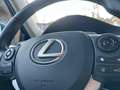 Lexus CT 200h 200H ULTIMATE ED. Xenon, Cruise, Alcantara Azul - thumbnail 16