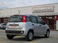 Fiat Panda 1.2 benzina Easy 5porte 5 posti Argento - thumbnail 4