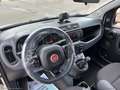 Fiat Panda 1.2 Lounge Wit - thumbnail 9