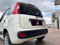 Fiat Panda 1.2 Lounge Wit - thumbnail 7