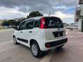 Fiat Panda 1.2 Lounge Wit - thumbnail 6