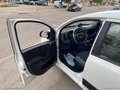 Fiat Panda 1.2 Lounge Wit - thumbnail 20