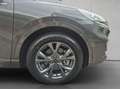 Ford Kuga 2.5 Duratec PHEV ST-LINE X SD AHZV ACC Grau - thumbnail 29