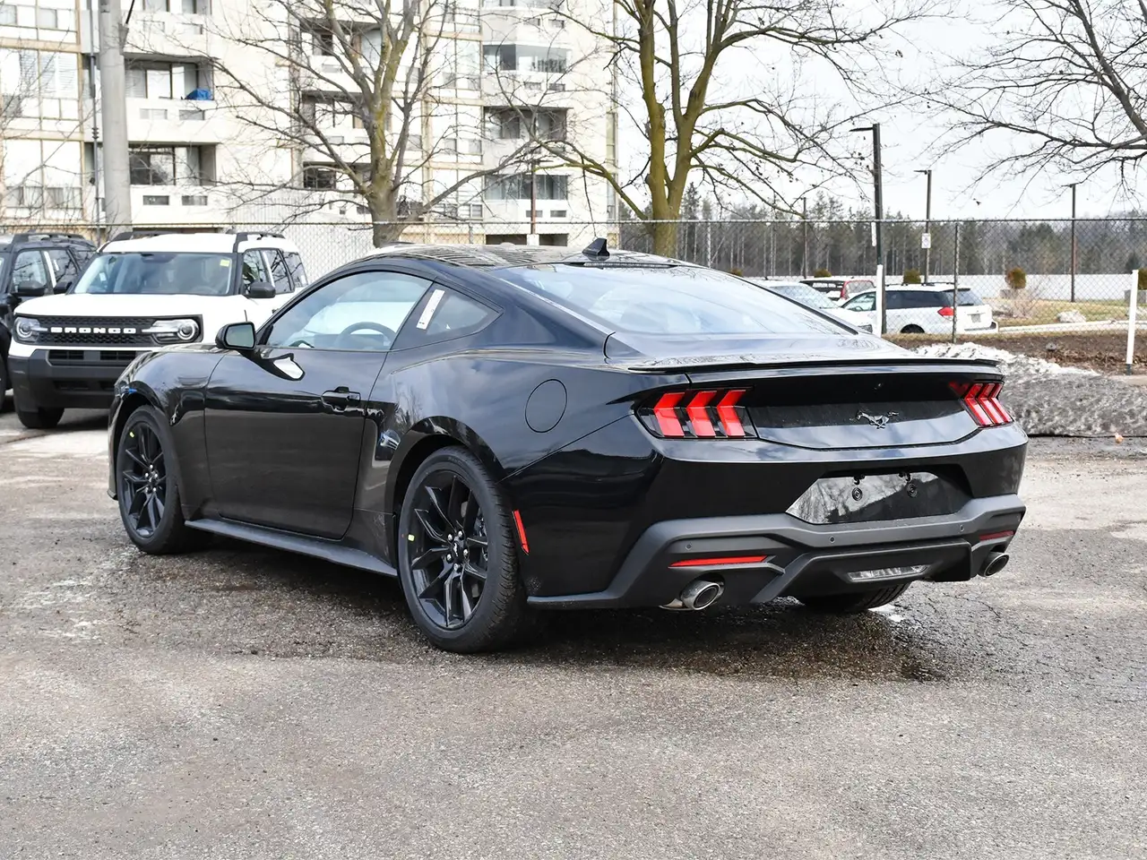 Ford Mustang снимка Ford Mustang