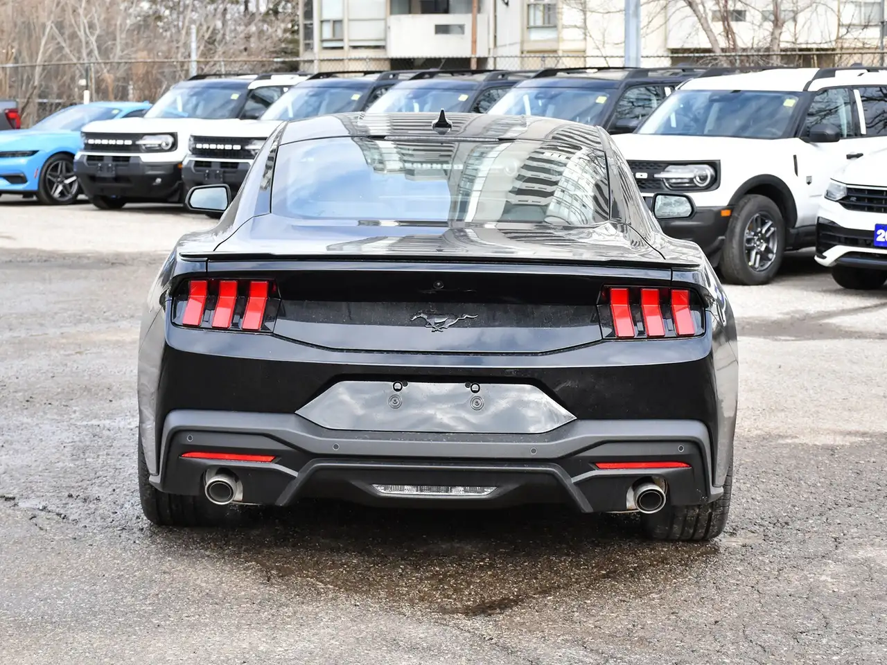 Ford Mustang снимка Ford Mustang