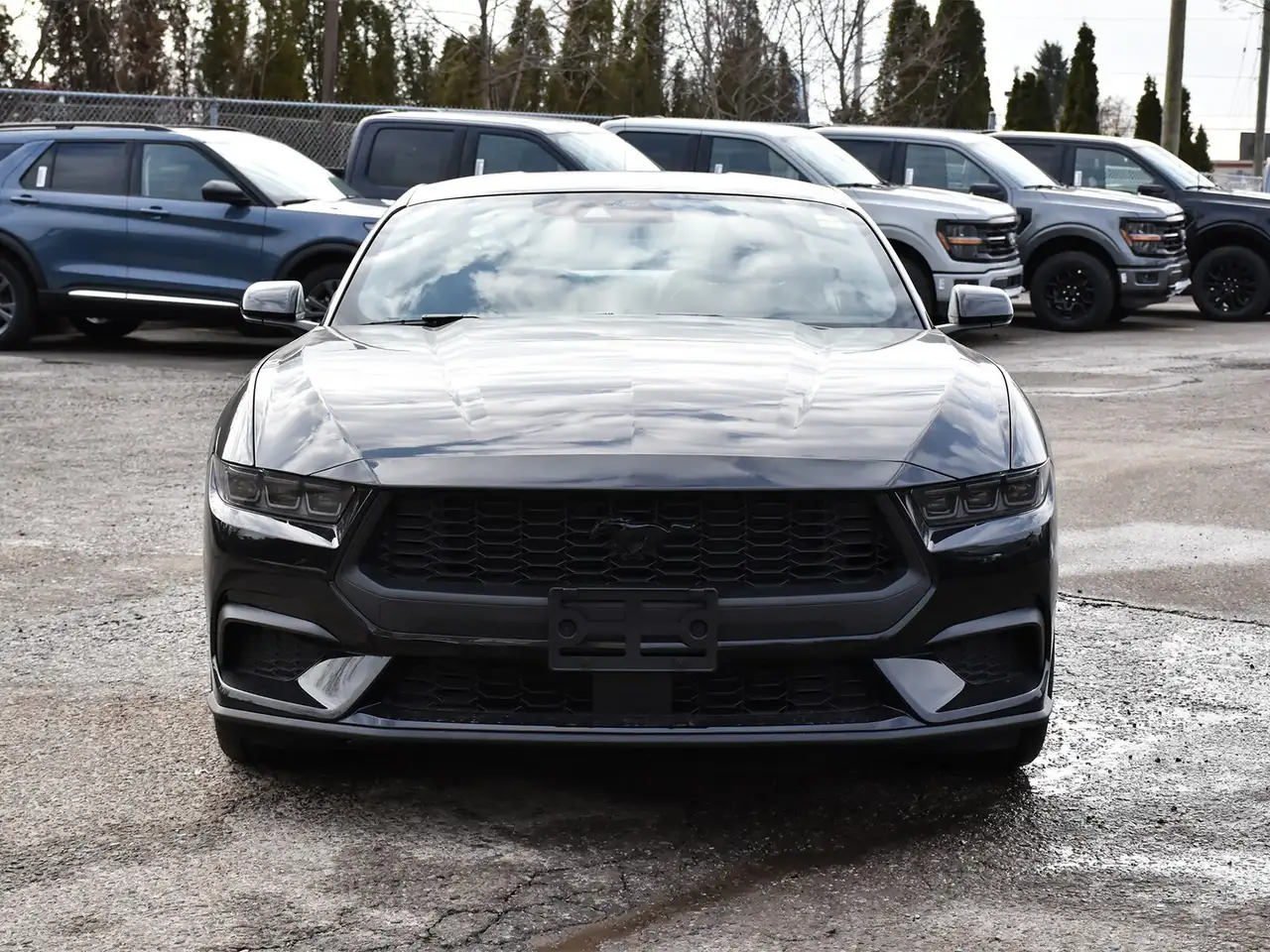 Ford Mustang снимка Ford Mustang