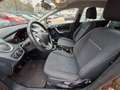 Ford Fiesta Champions Edition  Klima Shz 12-Fach Braun - thumbnail 9