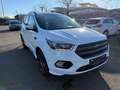 Ford Kuga ST-Line, Tüv neu! Blanc - thumbnail 3
