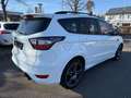 Ford Kuga ST-Line, Tüv neu! Blanc - thumbnail 5