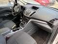 Ford C-Max C-Max II 2010 1.6 tdci Business SYNC 115cv Bianco - thumbnail 10