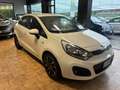 Kia Rio 5p 1.2 cvvt Cool*NEOPATENTATI Blanc - thumbnail 3