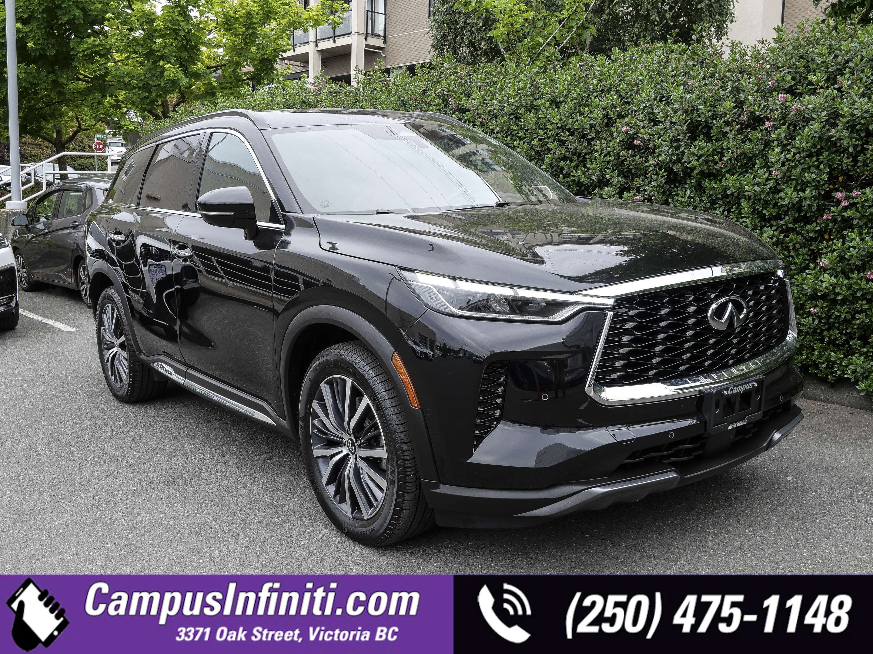 2024 Infiniti QX60 Autograph AWD I Clean History I One Local Owner I