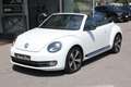 Volkswagen Maggiolino Cabrio R-CUP 1.4 TFSI 160CV NAVY UNICO PROPRIETARI Fehér - thumbnail 1