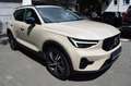 Volvo XC40 B3Plus DarkPano,360°,Blis+ACC,Leder,H&K,20" Brun - thumbnail 8