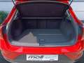 Volkswagen T-Roc T-ROC Life 1.0 TSI, ACC, RearView Rot - thumbnail 8