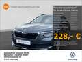 Skoda Kamiq 1.0 TSI Ambition Alu LED PDC Smart Link Te Grigio - thumbnail 1