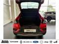 Renault Arkana TCe Mild Hybrid 140 EDC Techno AHK GJR NAVI PANO Rouge - thumbnail 5