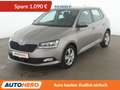 Skoda Fabia 1.0 MPI Ambition*TEMPO*SHZ*ALU*KLIMA* Grau - thumbnail 1