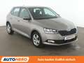 Skoda Fabia 1.0 MPI Ambition*TEMPO*SHZ*ALU*KLIMA* Grau - thumbnail 8