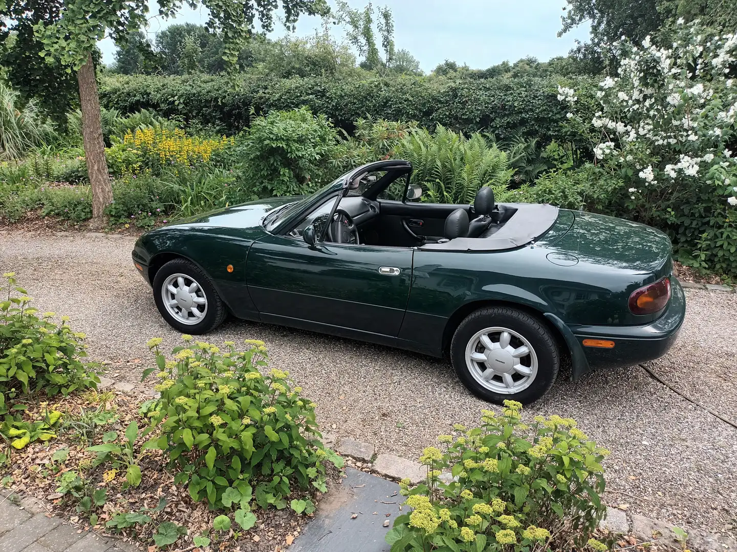 Mazda MX-5 MX-5 16V - 2