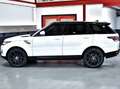 Land Rover Range Rover Sport Range Rover Sport 3.0L V6 Supercharged Bianco - thumbnail 9
