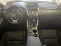 Lexus NX 300 300h Business Navigation 2WD Grijs - thumbnail 9