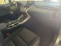 Lexus NX 300 300h Business Navigation 2WD Gris - thumbnail 11