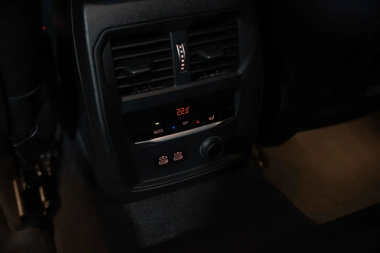 BMW 318 Touring 318 dA Business Ed AdBlue (ACO)(EU6d-T.), миниатюра 30