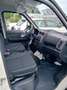Piaggio Porter Piaggio Porter passo 3250 con cassone ribaltabile Bianco - thumbnail 17