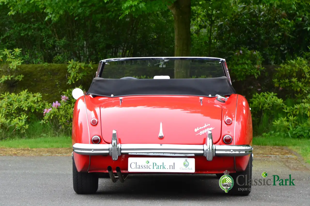 Austin-Healey 3000 MK II A, foto 4