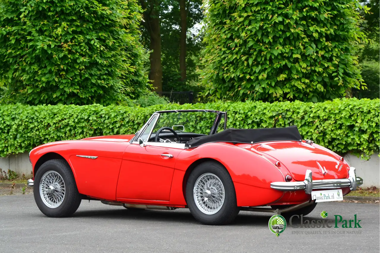 Austin-Healey 3000 MK II A, foto 3