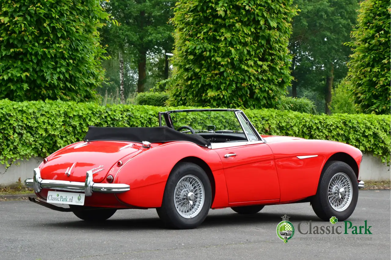 Austin-Healey 3000 MK II A, foto 5