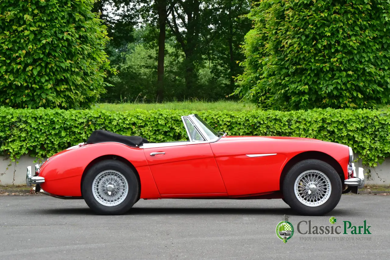 Austin-Healey 3000 MK II A, foto 6