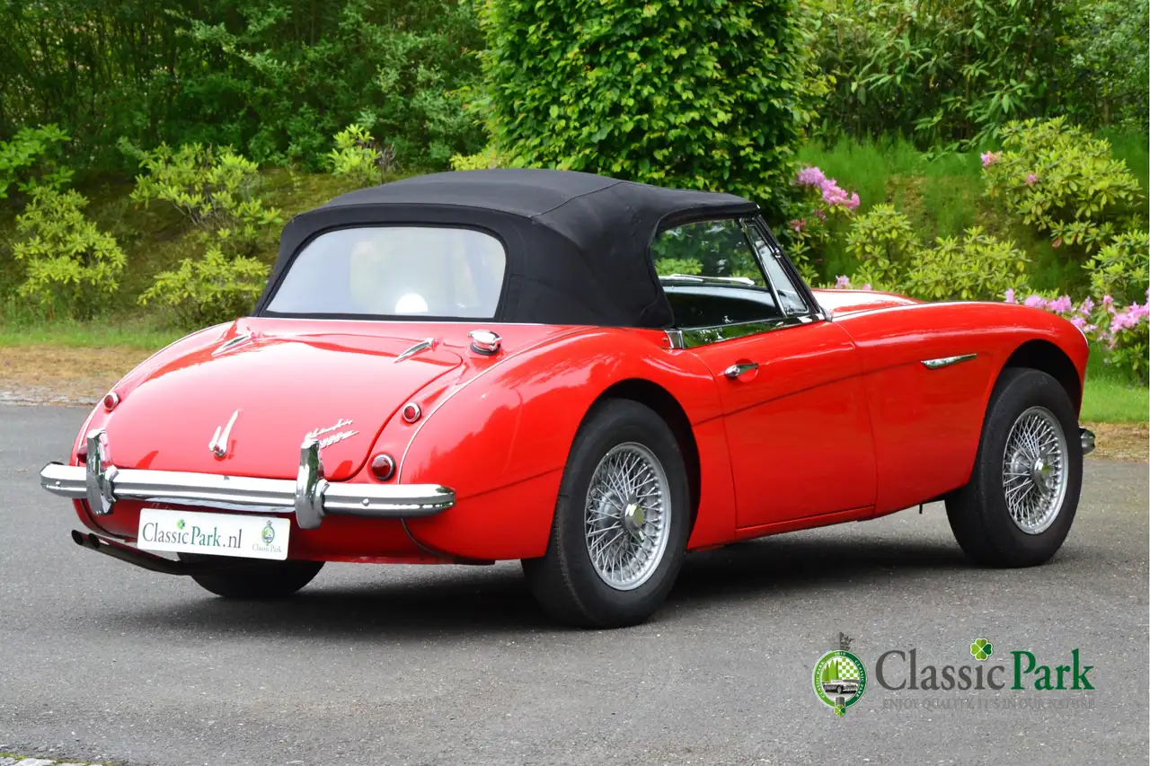 Austin-Healey 3000 MK II A, foto 10
