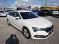 Skoda Superb Kombi 2,0 TDI Style *VIRTUAL+MATRIX+KAMERA* Weiß - thumbnail 3