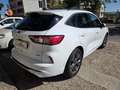 Ford Kuga Kuga III 2020 2.5 full hybrid ST-Line 2wd 190 cv Bianco - thumbnail 5