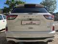 Ford Kuga Kuga III 2020 2.5 full hybrid ST-Line 2wd 190 cv Bianco - thumbnail 8