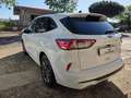 Ford Kuga Kuga III 2020 2.5 full hybrid ST-Line 2wd 190 cv Bianco - thumbnail 6