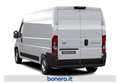 Toyota Proace Max 35H 2.2d 140cv L3H2 Білий - thumbnail 3