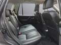 Land Rover Freelander 2 SE SD4 Automatik/Leder/Xenon/RFK Maro - thumbnail 12
