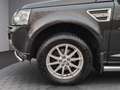 Land Rover Freelander 2 SE SD4 Automatik/Leder/Xenon/RFK Maro - thumbnail 21