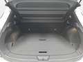Nissan Qashqai QASHQAI 1.3 DIG-T MHEV X-TRONIC N-CONNECTA NAVI LE Bianco - thumbnail 15