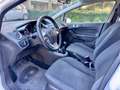 Ford Fiesta 5p 1.4 Business Gpl 92cv scadenza bombola 2034 Blanc - thumbnail 9