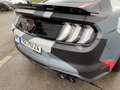 Ford Mustang GT 5.0 Fastback TRACK-Tool mit TÜV / COC Grey - thumbnail 12