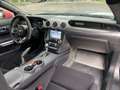 Ford Mustang GT 5.0 Fastback TRACK-Tool mit TÜV / COC Grau - thumbnail 27