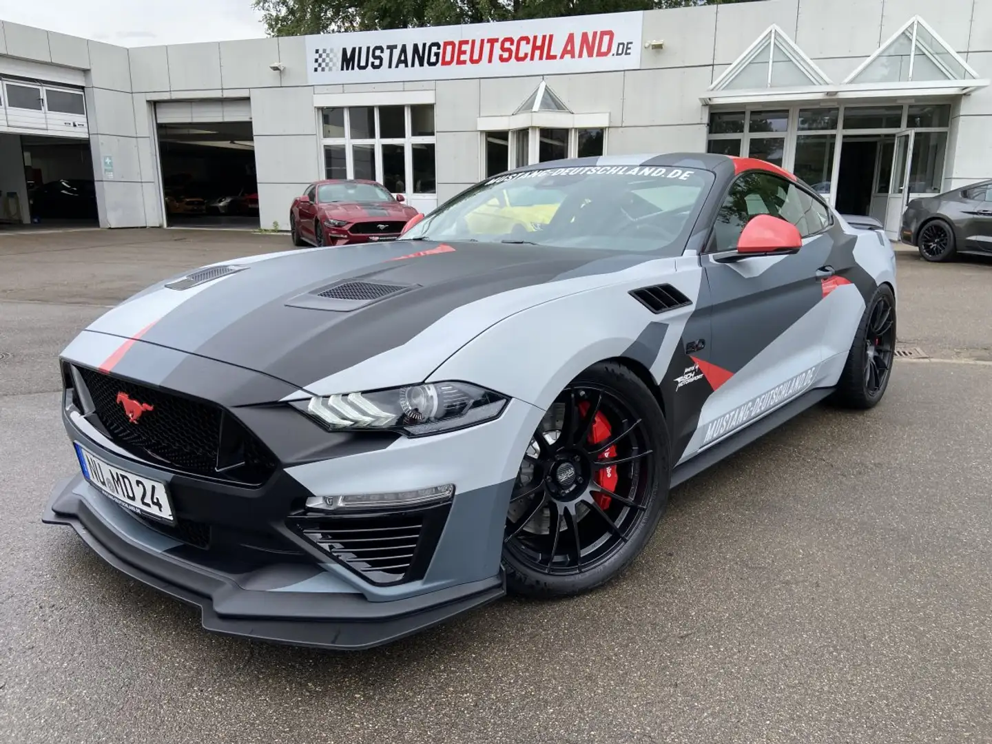 Ford Mustang GT 5.0 Fastback TRACK-Tool mit TÜV / COC Gris - 1