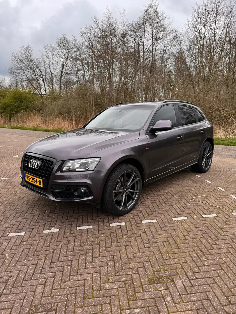 Audi Q5 3.0 TDI q. PL.S Фіолетовий - 2