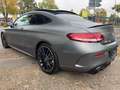Mercedes-Benz C 43 AMG *BURMESTER*360°KAMERA*PANO* Gris - thumbnail 12