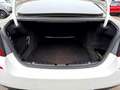 BMW 525 d Aut. Lim *M Sportpaket* GSD_HUD_Leder_Kamer Weiß - thumbnail 18