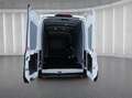 Ford Transit Trend 350 EXPRESS-LINE L4H3 HA | KLIMAAUT | GRA | Weiß - thumbnail 18